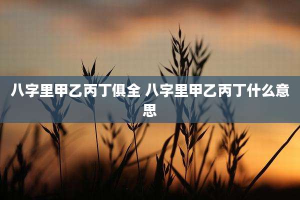 八字里甲乙丙丁俱全 八字里甲乙丙丁什么意思