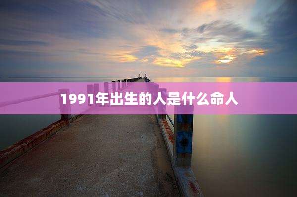 1991年出生的人是什么命人
