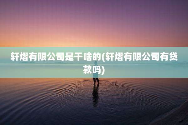 轩熠有限公司是干啥的(轩熠有限公司有贷款吗)