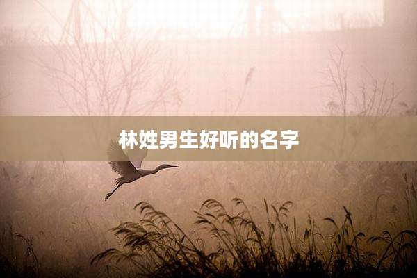 林姓男生好听的名字