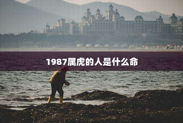 1987属虎的人是什么命