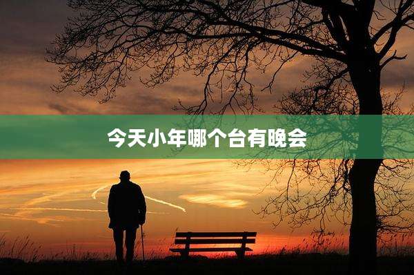 今天小年哪个台有晚会