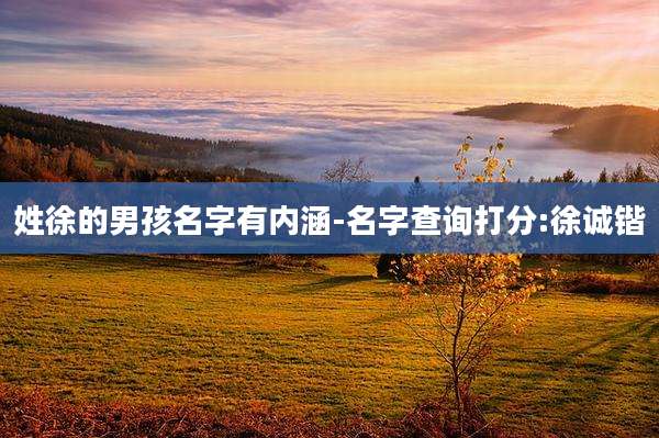 姓徐的男孩名字有内涵-名字查询打分:徐诚锴