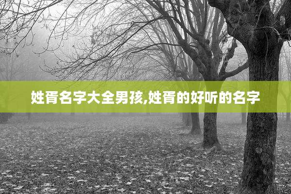 姓胥名字大全男孩,姓胥的好听的名字