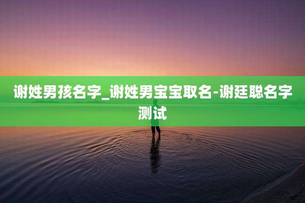谢姓男孩名字_谢姓男宝宝取名-谢廷聪名字测试