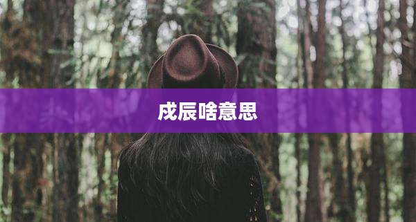 戍辰啥意思