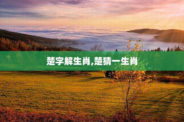 楚字解生肖,楚猜一生肖