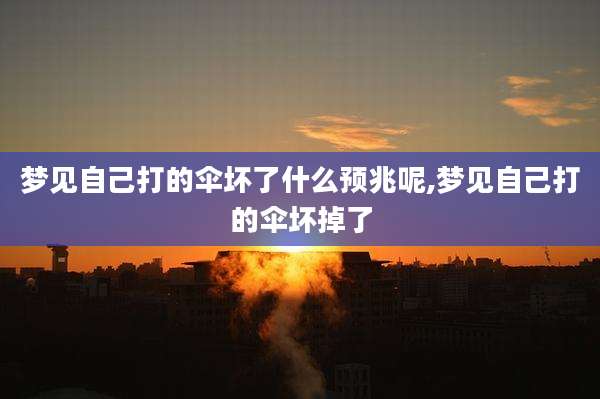 梦见自己打的伞坏了什么预兆呢,梦见自己打的伞坏掉了