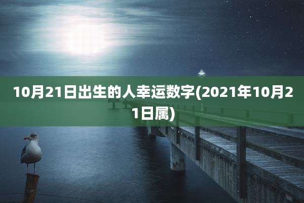 10月21日出生的人幸运数字(2021年10月21日属)