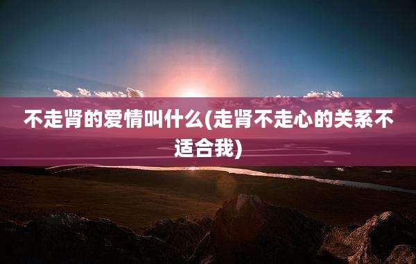 不走肾的爱情叫什么(走肾不走心的关系不适合我)