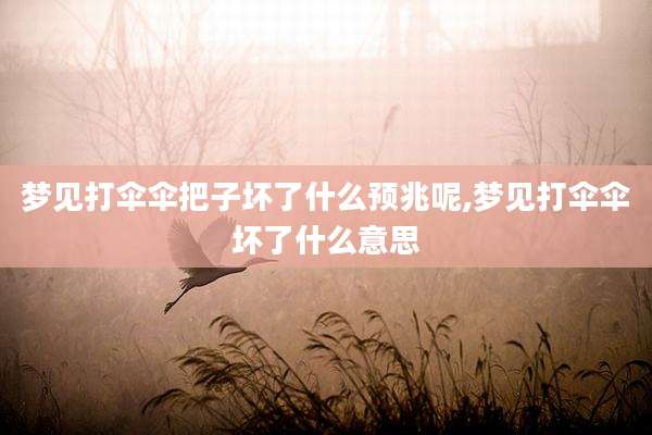 梦见打伞伞把子坏了什么预兆呢,梦见打伞伞坏了什么意思