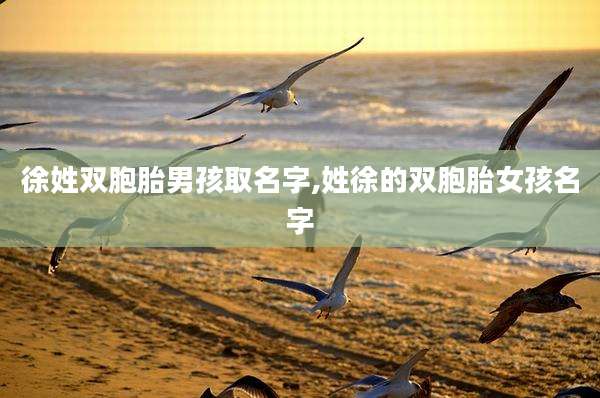 徐姓双胞胎男孩取名字,姓徐的双胞胎女孩名字