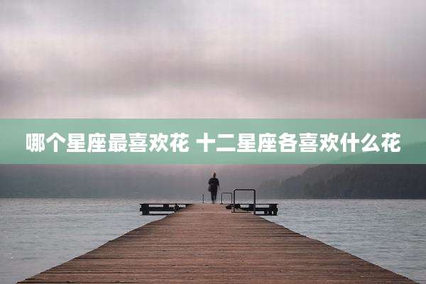 哪个星座最喜欢花 十二星座各喜欢什么花