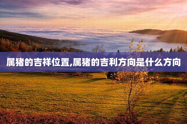 属猪的吉祥位置,属猪的吉利方向是什么方向