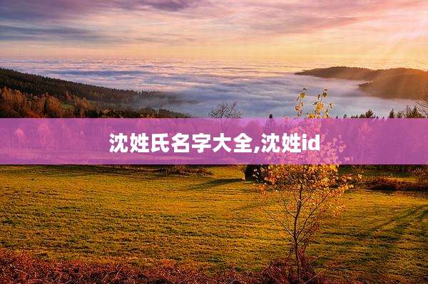 沈姓氏名字大全,沈姓id