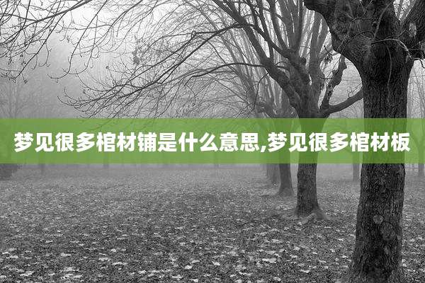 梦见很多棺材铺是什么意思,梦见很多棺材板
