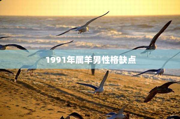 1991年属羊男性格缺点