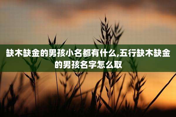 缺木缺金的男孩小名都有什么,五行缺木缺金的男孩名字怎么取