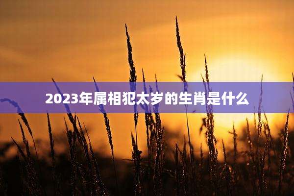 2023年属相犯太岁的生肖是什么