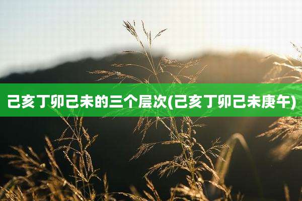 己亥丁卯己未的三个层次(己亥丁卯己未庚午)