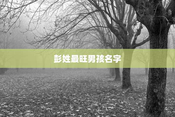 彭姓最旺男孩名字