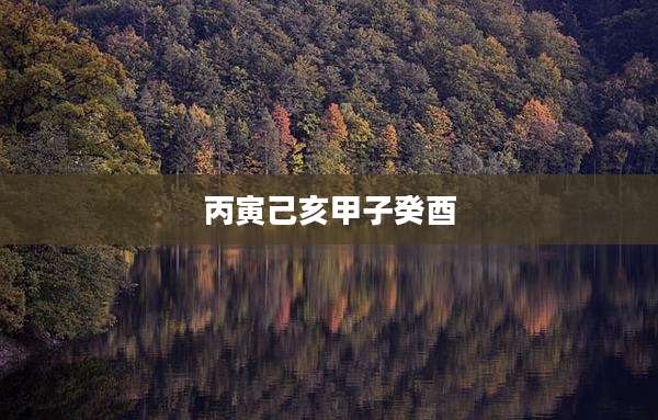 丙寅己亥甲子癸酉