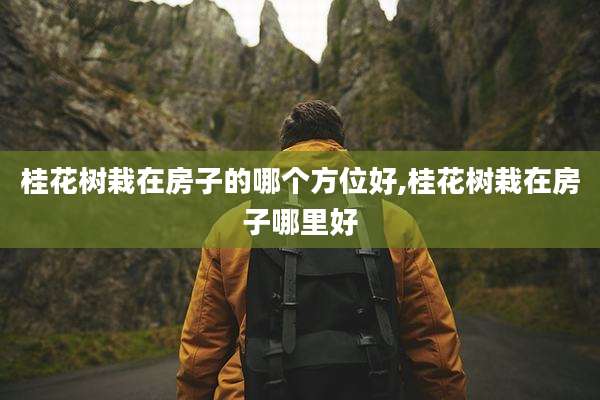 桂花树栽在房子的哪个方位好,桂花树栽在房子哪里好