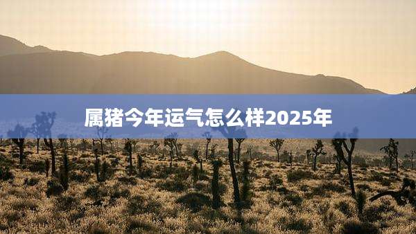属猪今年运气怎么样2025年