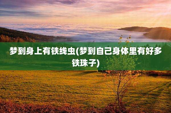 梦到身上有铁线虫(梦到自己身体里有好多铁珠子)