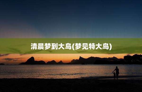 清晨梦到大鸟(梦见特大鸟)
