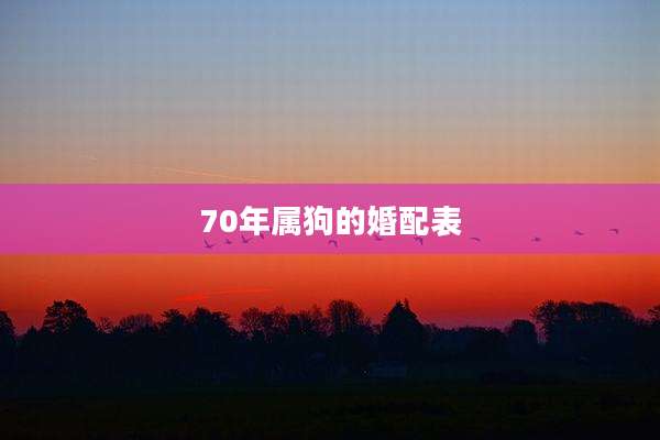 70年属狗的婚配表