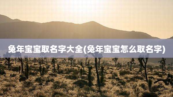 兔年宝宝取名字大全(兔年宝宝怎么取名字)