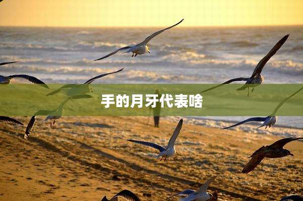 手的月牙代表啥
