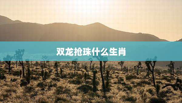 双龙抢珠什么生肖
