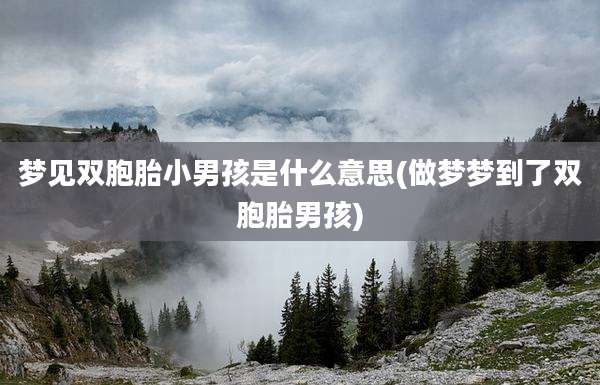 梦见双胞胎小男孩是什么意思(做梦梦到了双胞胎男孩)