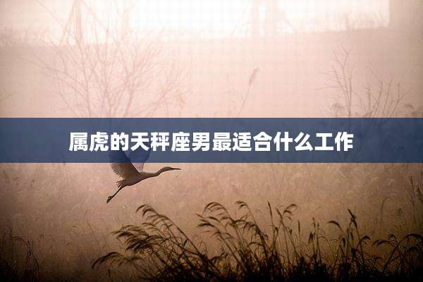 属虎的天秤座男最适合什么工作