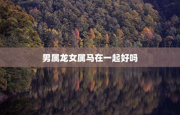 男属龙女属马在一起好吗