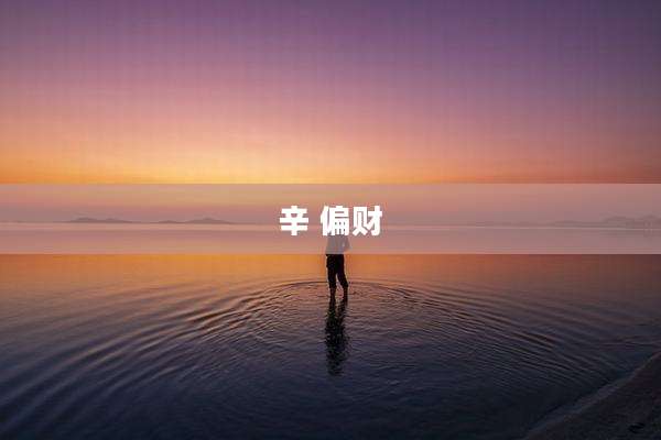 辛 偏财