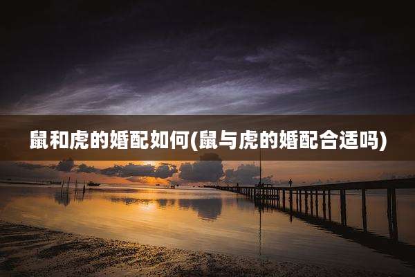 鼠和虎的婚配如何(鼠与虎的婚配合适吗)