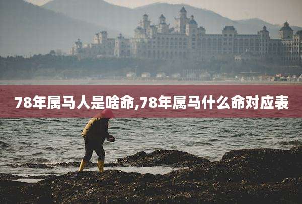 78年属马人是啥命,78年属马什么命对应表
