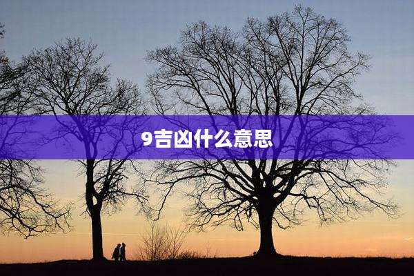 9吉凶什么意思