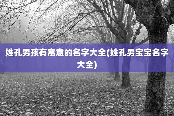 姓孔男孩有寓意的名字大全(姓孔男宝宝名字大全)
