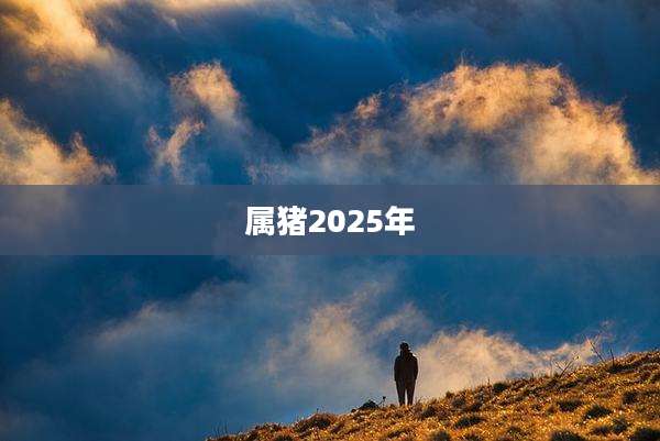 属猪2025年