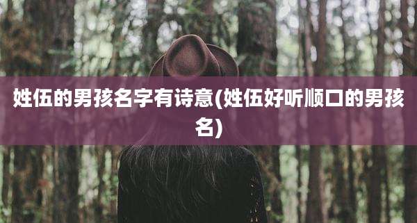 姓伍的男孩名字有诗意(姓伍好听顺口的男孩名)