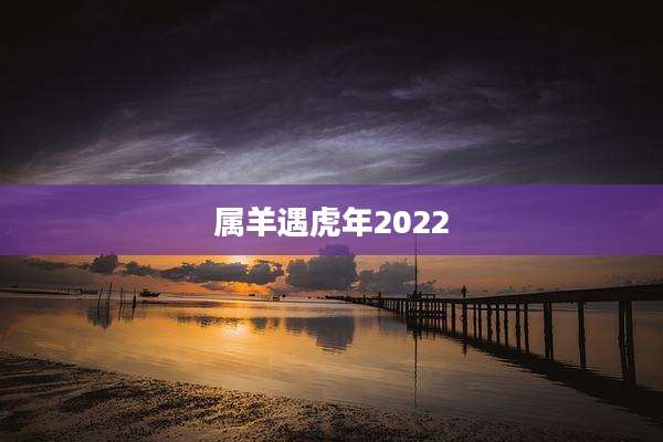 属羊遇虎年2022