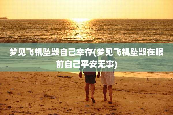 梦见飞机坠毁自己幸存(梦见飞机坠毁在眼前自己平安无事)