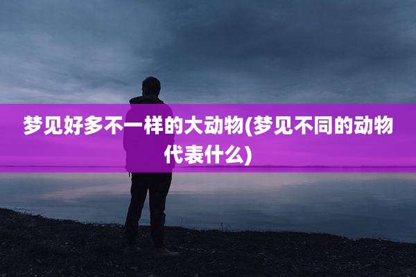 梦见好多不一样的大动物(梦见不同的动物代表什么)