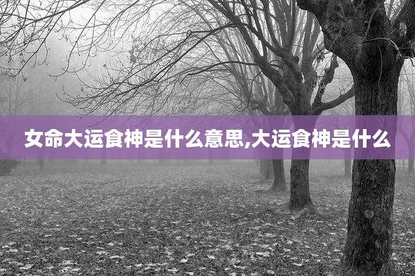 女命大运食神是什么意思,大运食神是什么
