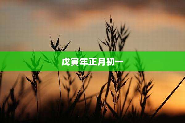 戊寅年正月初一