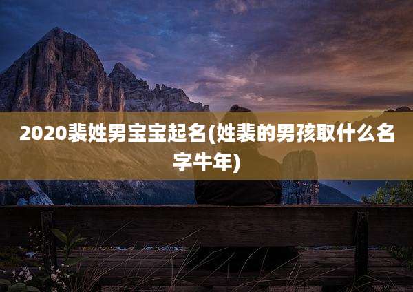 2020裴姓男宝宝起名(姓裴的男孩取什么名字牛年)